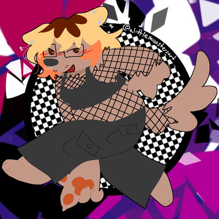 funbody finished $20